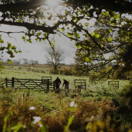 Silhouette of two people planting trees at Lowther in autumn sunshine